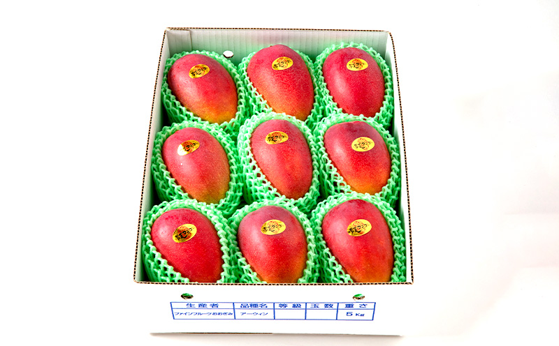 【2026年発送】最高級 常夏アップルマンゴー！糖度17度以上 約5kg以上農園から直送 最高級 先行予約 沖縄 甘味 糖度 濃厚 美味しい お土産 おいしい ギフト とろける甘さ 香り アーウィン 果汁 ５キロ 箱入り お取り寄せ 見た目 きれい 綺麗