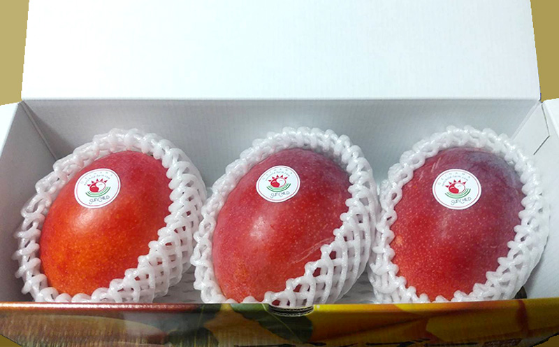 【2026年発送】大宜味村産 アーウィン種マンゴー　秀品1キロ以上 フルーツ 果物 くだもの 果実 沖縄 大宜味村 食べ物 国産 秀品 九州産 産地直送 ギフト プレゼント トロピカル 送料無料 甘味 スイーツ お取り寄せ デザート マンゴー