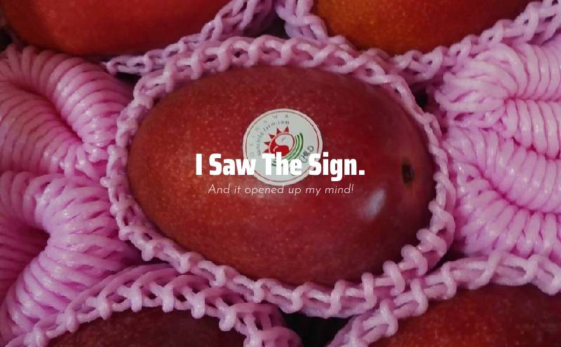 【2026年発送】大宜味村産 アーウィン種マンゴー　優品2キロ以上（青ぎりシークワーサー700ｇ付き） フルーツ 果物 くだもの 果実 沖縄 大宜味村 食べ物 国産 優品 県産 産地直送 ギフト プレゼント トロピカル 送料無料 甘味 スイーツ お取り寄せ デザート マンゴー