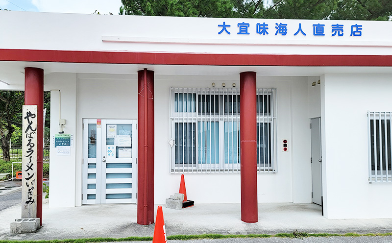 鶏白湯ラーメン　2人前（480g×2袋） 沖縄 大宜味村 らーめん こだわり 2人前 2袋 ふるさと納税 送料無料 ご当地 お取り寄せ グルメ 人気 1万円 プレゼント 自分用 パイタン ぱいたん ラーメン