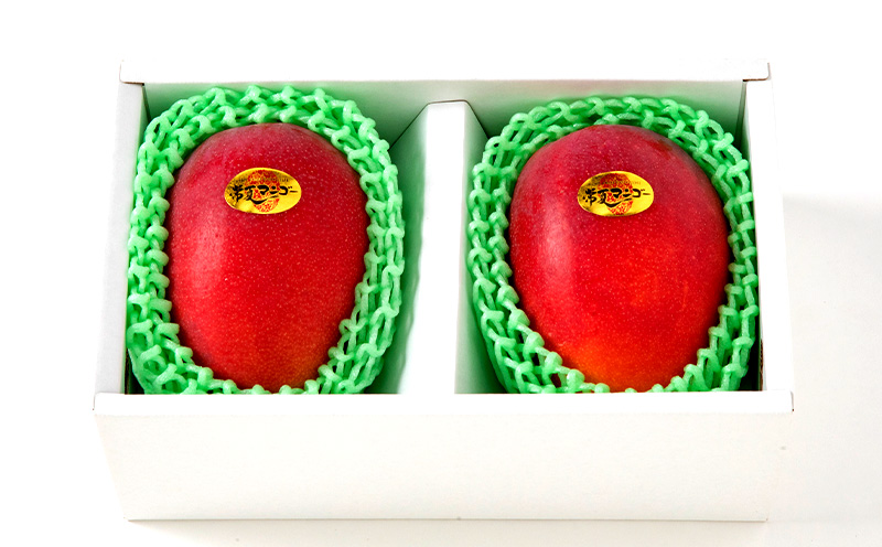 【9月・数量限定企画】【2026年発送】最高級　常夏アップルマンゴー！糖度17度以上　約1kg農園から直送 最高級 先行予約 沖縄 甘味 糖度 濃厚 美味しい お土産 おいしい ギフト とろける甘さ 香り アーウィン 果汁 プレミアム 箱入り 化粧箱入り 見た目 きれい 綺麗