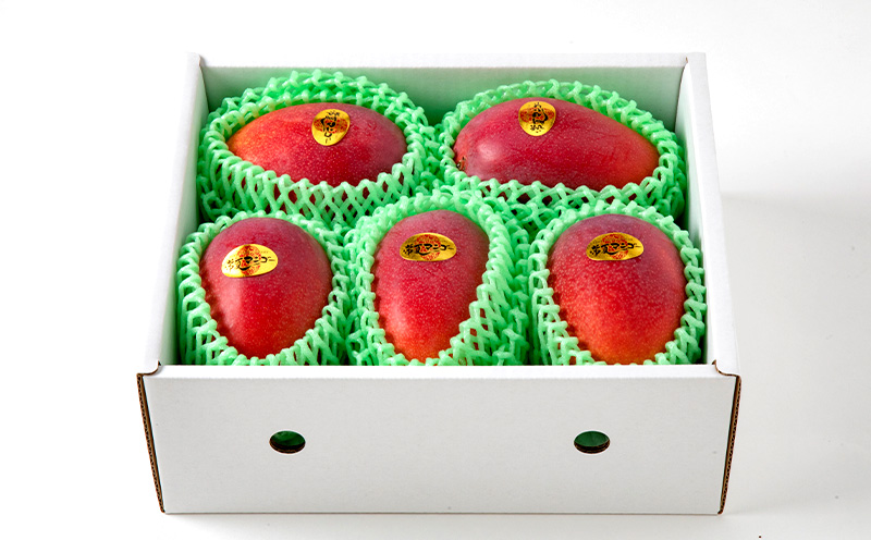 【9月・数量限定企画】【2026年発送】最高級　常夏アップルマンゴー！糖度17度以上　約2kg農園から直送 最高級 先行予約 沖縄 甘味 糖度 濃厚 美味しい お土産 おいしい ギフト とろける甘さ 香り アーウィン 果汁 プレミアム 箱入り 化粧箱入り 見た目 きれい 綺麗