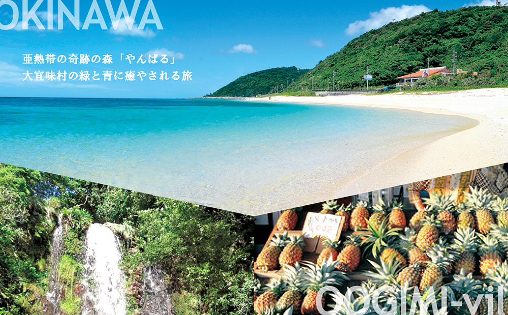 【旅行クーポン】沖縄長寿の里大宜味村 後から選べる旅行6万円分 沖縄 観光 旅行 やんばる 北部 グルメ ファミリー カップル アクティビティ 体験 トレッキング マングローブ カヌー マリンスポーツ ビーチ 海 滝 サイクリング ウェルネス リゾート