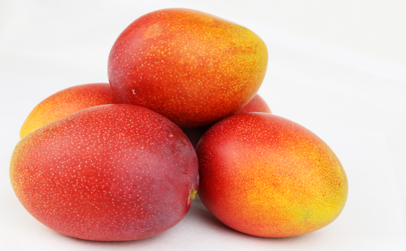 【2026年発送】濃密マンゴー《優品・約4kg》大宜味村農家さんから直送！ 優品 先行予約 沖縄 甘味 糖度 濃厚 おいしい お土産 まんごー アーウィン 果物 くだもの 果実 送料無料 ふるさと納税 ４キロ トロピカル 化粧箱入り 食べ物 フルーツ