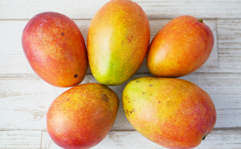 【2026年発送】ご家庭用！濃密マンゴー《家庭用・約2kg》農家さんより直送！ 家庭用 先行予約 沖縄 甘味 糖度 濃厚 おいしい お土産 まんごー アーウィン 果物 くだもの 果実 送料無料 ふるさと納税 ２キロ トロピカル 箱入り 食べ物 フルーツ