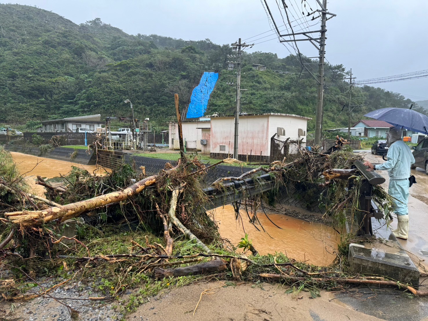 大宜味村令和6年11月沖縄県豪雨災害支援【返礼品なし、マイル対象外】
