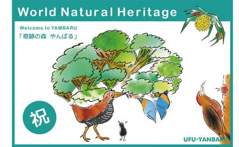 世界自然遺産登録記念ボトル　25度（古酒）720ml　2本セット【やんばる酒造】