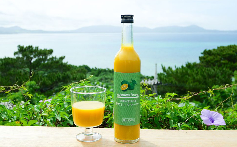 沖縄の贅沢ジュース 12本 ＜青切シークヮサー 12本＞ KS1009 青切り シークヮーサー 酸味 ノビレチン ストレート ドレッシング 国産 県産 沖縄 おきなわ 大宜味村 調味料 ジュース 飲み物 熱中症対策 ご当地 やんばる 南国 トロピカル 南国