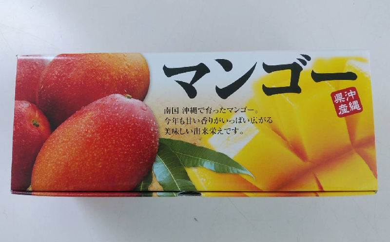 【2026年発送】大宜味村産 アーウィン種マンゴー　秀品1キロ以上 フルーツ 果物 くだもの 果実 沖縄 大宜味村 食べ物 国産 秀品 九州産 産地直送 ギフト プレゼント トロピカル 送料無料 甘味 スイーツ お取り寄せ デザート マンゴー