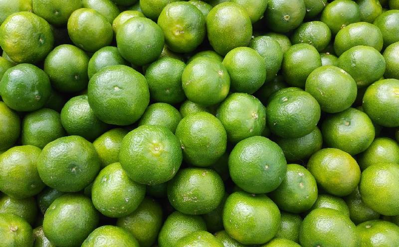 【2026年発送】大宜味村産 アーウィン種マンゴー　優品2キロ以上（青ぎりシークワーサー700ｇ付き） フルーツ 果物 くだもの 果実 沖縄 大宜味村 食べ物 国産 優品 県産 産地直送 ギフト プレゼント トロピカル 送料無料 甘味 スイーツ お取り寄せ デザート マンゴー