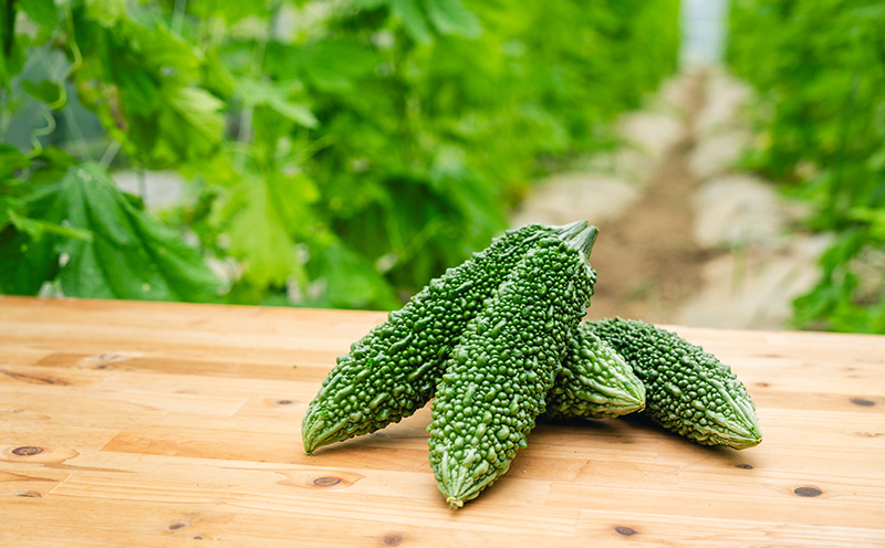 【Farm CRESCERE】ゴーヤー2kg以上 沖縄 大宜味村 ゴーヤー ごーやー チャンプルー 野菜 ふるさと納税 送料無料 沖縄料理 おかず サラダ アレンジ料理 ご当地 郷土料理 ちゃんぷるー 常温 プレゼント 食べ物 2kg