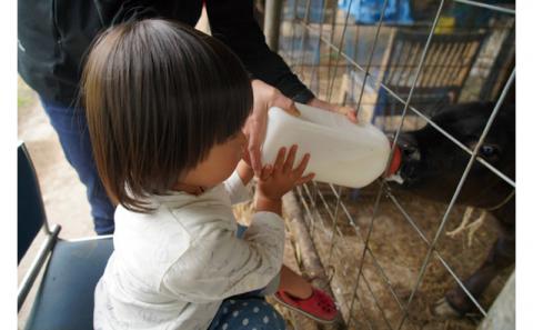 自然の中でバター作り&パン作り体験！きゆな牧場（4名様）