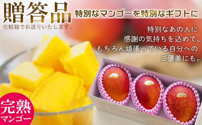 【2026年発送】最高級 常夏アップルマンゴー！糖度17度以上 約5kg以上農園から直送 最高級 先行予約 沖縄 甘味 糖度 濃厚 美味しい お土産 おいしい ギフト とろける甘さ 香り アーウィン 果汁 ５キロ 箱入り お取り寄せ 見た目 きれい 綺麗