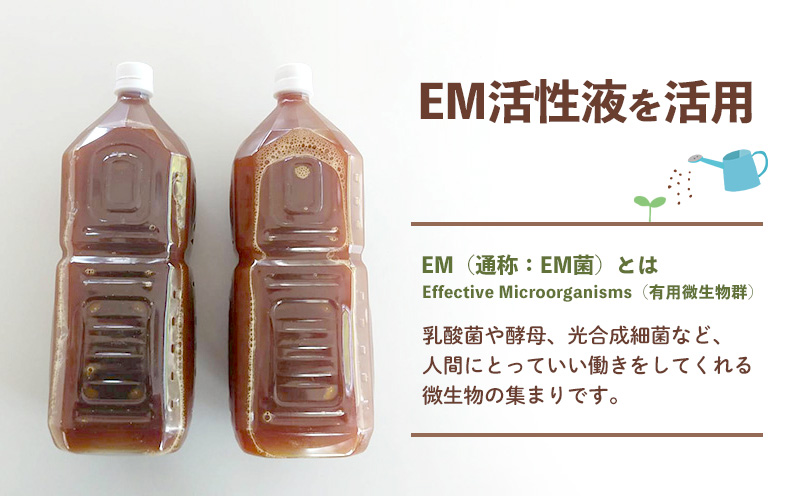 【2026年発送】大宜味村産 アーウィン種マンゴー　優品2キロ以上（青ぎりシークワーサー700ｇ付き） フルーツ 果物 くだもの 果実 沖縄 大宜味村 食べ物 国産 優品 県産 産地直送 ギフト プレゼント トロピカル 送料無料 甘味 スイーツ お取り寄せ デザート マンゴー