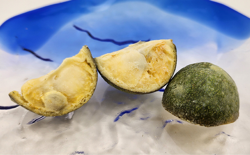 沖縄果実の丸ごとチョコレート　マルチョ2袋100g（1袋50g入り） シークヮーサー シークワーサー しーくわーさー チョコ ノビレチン 果実 お菓子 加工品 爽やか 甘酸っぱい 沖縄 おきなわ 大宜味 大宜味村 やんばる 送料無料 県産 ご当地 お土産 ふるさと納税