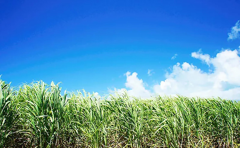 丸海きあら【しっかり保湿セット】月桃ミツロウクリーム＆月桃ジェル