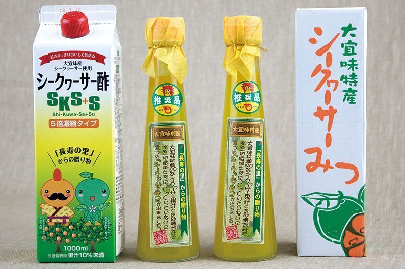 【大宜味村】シークヮーサーセット1