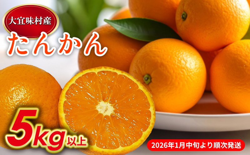 【2026年発送】大宜味村　たんかん　5kg 沖縄 おきなわ 大宜味村 果物 くだもの 果実 タンカン オレンジ みかん 柑橘 フルーツ お取り寄せ 人気 ふるさと納税 送料無料 国産 県産 ご当地 やんばる 先行予約
