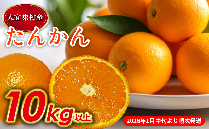 【2026年発送】大宜味村　たんかん　10kg 沖縄 おきなわ 大宜味村 果物 くだもの 果実 タンカン オレンジ みかん 柑橘 フルーツ お取り寄せ 人気 ふるさと納税 送料無料 国産 県産 ご当地 やんばる 先行予約