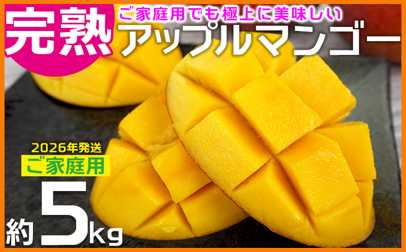 【2026年発送】ご家庭用でも極上に美味しい完熟アップルマンゴー約5kg 農園直送！ 家庭用 先行予約 沖縄 甘味 糖度 濃厚 美味しい お土産 おいしい ふるさと納税 とろける甘さ 香り アーウィン 果汁 送料無料 箱入り トロピカル 普段使い お取り寄せ ご褒美