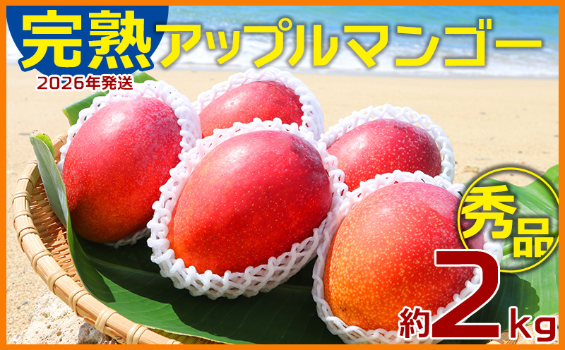 【2026年発送】農園一番人気の完熟アップルマンゴー秀品・約2kg農園から直送！ 秀品 先行予約 沖縄 甘味 糖度 濃厚 美味しい お土産 おいしい ギフト とろける甘さ 香り アーウィン 果汁 高級 箱入り 化粧箱入り 見た目 きれい 綺麗