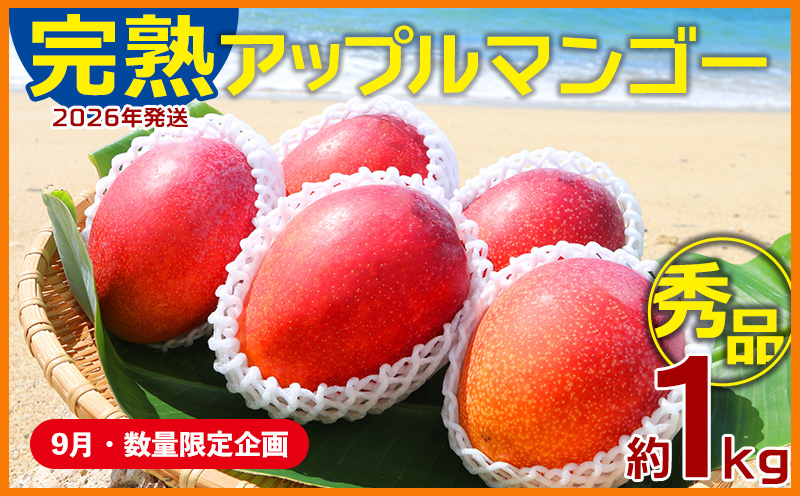 【9月・数量限定企画】【2026年発送】農園一番人気の完熟アップルマンゴー秀品・約1kg農園から直送！ 秀品 先行予約 沖縄 甘味 糖度 濃厚 美味しい お土産 おいしい ギフト とろける甘さ 香り アーウィン 果汁 高級 箱入り 化粧箱入り 見た目 きれい 綺麗