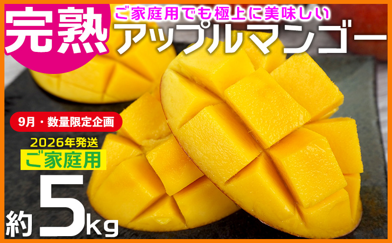 【9月・数量限定企画】【2026年発送】ご家庭用でも極上に美味しい完熟アップルマンゴー約5kg　農園直送！ 家庭用 先行予約 沖縄 甘味 糖度 濃厚 美味しい お土産 おいしい ふるさと納税 とろける甘さ 香り アーウィン 果汁 送料無料 箱入り トロピカル 普段使い お取り寄せ ご褒美