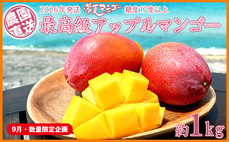 【9月・数量限定企画】【2026年発送】最高級　常夏アップルマンゴー！糖度17度以上　約1kg農園から直送 最高級 先行予約 沖縄 甘味 糖度 濃厚 美味しい お土産 おいしい ギフト とろける甘さ 香り アーウィン 果汁 プレミアム 箱入り 化粧箱入り 見た目 きれい 綺麗