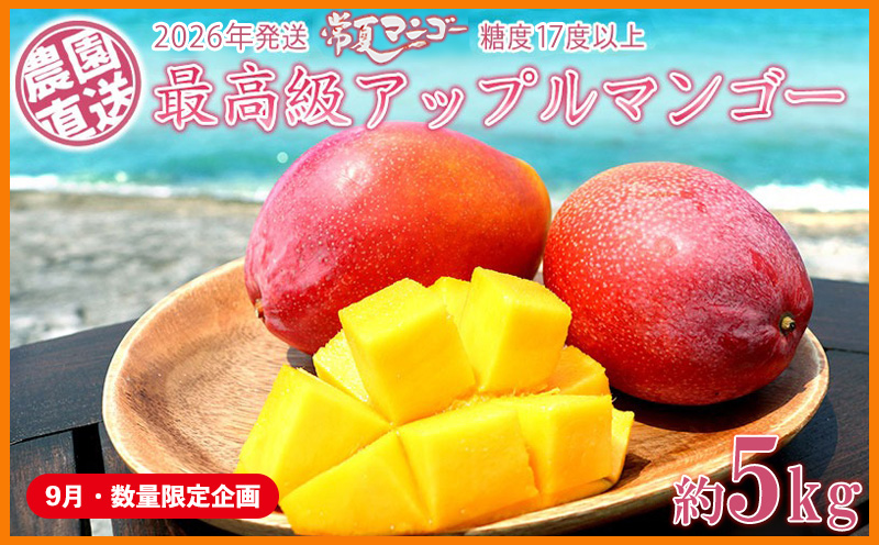 【9月・数量限定企画】【2026年発送】最高級　常夏アップルマンゴー！糖度17度以上　約5kg以上農園から直送 最高級 先行予約 沖縄 甘味 糖度 濃厚 美味しい お土産 おいしい ギフト とろける甘さ 香り アーウィン 果汁 ５キロ 箱入り お取り寄せ 見た目 きれい 綺麗