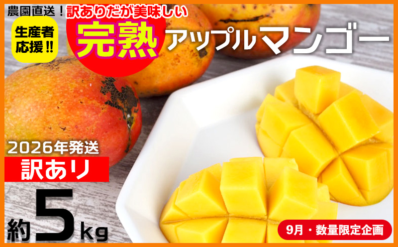【9月・数量限定企画】【2026年発送】生産者応援！！訳ありだが美味しい完熟アップルマンゴー約5kg　農園直送！ 訳アリ 先行予約 沖縄 甘味 糖度 濃厚 美味しい お取り寄せ おいしい ふるさと納税 とろける甘さ 香り アーウィン 果汁 送料無料 箱入り トロピカル フードロス わけあり ５キロ