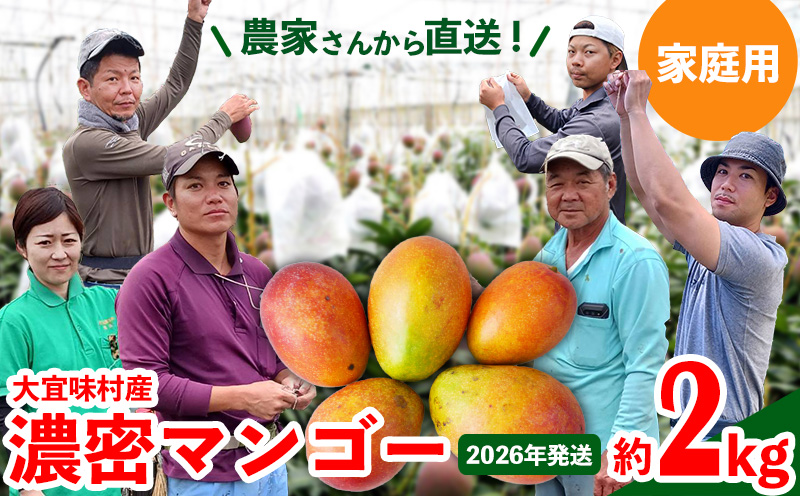 【2026年発送】ご家庭用！濃密マンゴー《家庭用・約2kg》農家さんより直送！ 家庭用 先行予約 沖縄 甘味 糖度 濃厚 おいしい お土産 まんごー アーウィン 果物 くだもの 果実 送料無料 ふるさと納税 ２キロ トロピカル 箱入り 食べ物 フルーツ