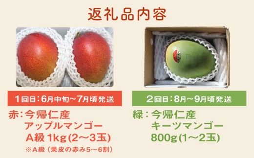 【お試し定期便】今帰仁2色マンゴー（赤・緑）【先行予約