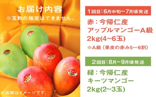 【定期便】今帰仁2色マンゴー（赤・緑）【先行予約】【2026