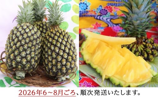【2026年6～8月頃配送】今帰仁産パインアップル（ゴールド