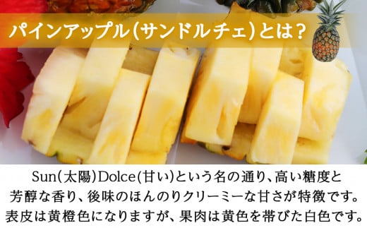 【2026年7月～8月頃配送】今帰仁産パインアップル（サンド