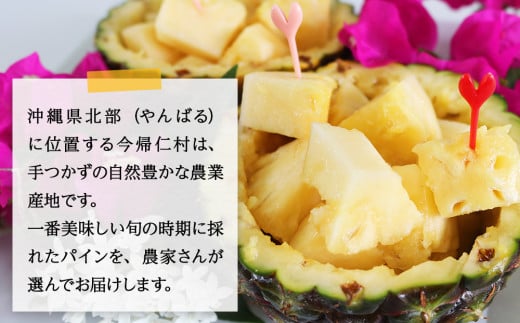【定期便　限定100セット】今帰仁産パインアップル3種味比