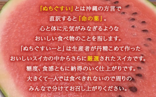 【JAおきなわ】厳選すいか！ぬちぐすいーと　大玉７kg以上