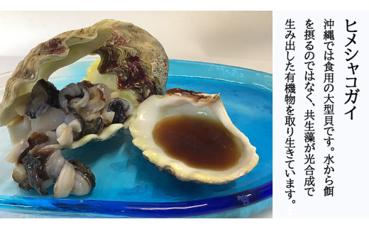 まんぷく海人セット(シャコ貝・ソデイカ・アーサー）各1パ