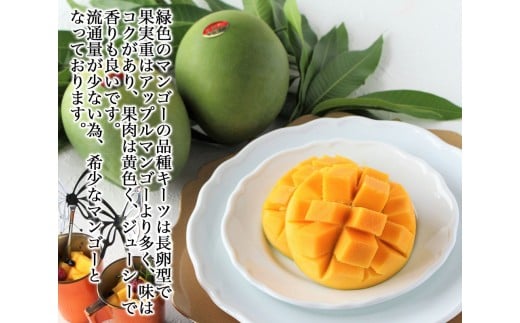 【家庭用】緑のキーツマンゴー800g【2026年8月～9月頃発送】 