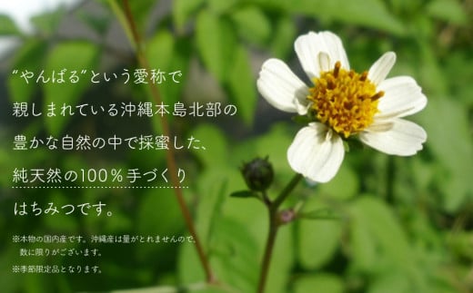 沖縄県産　純天然はちみつ（シロバナセンダン草　2本入り