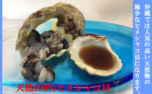 今帰仁産　天然シャコ貝　食べきり2パック