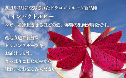 【限定50個】今帰仁産ドラゴンフルーツ「インパクトルビー