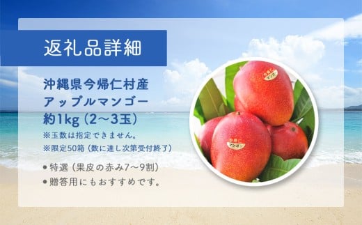 【限定50箱】比嘉さん家の千なりマンゴー(特選・1kg)【2026年