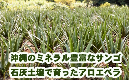 琉球アロエの有機アロエベラ・ドリンク  パウチタイプ６個