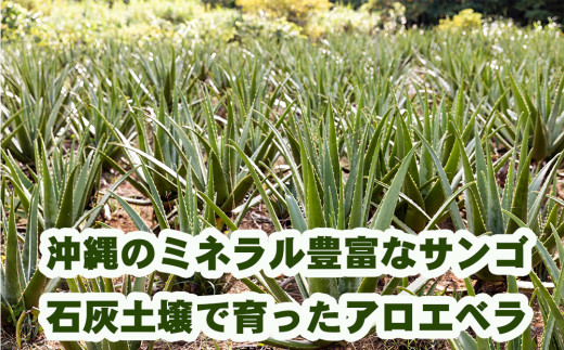 琉球アロエの有機アロエベラ・ドリンク  パウチタイプ１０