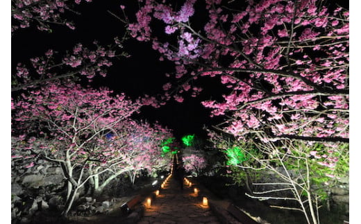 世界遺産！今帰仁城内ガイドツアー