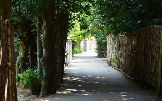 【Eバイクガイドツアー】運転ラクラク！今帰仁の秘密の絶