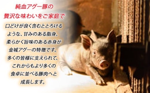 金城ミート　アグー餃子・アグーハンバーグセット