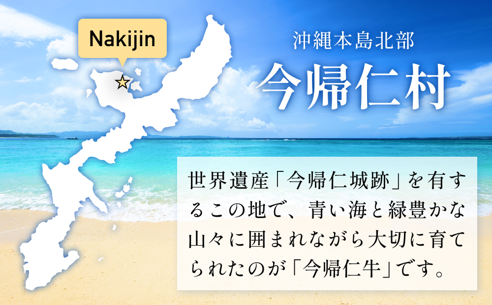 【訳あり・和牛】今帰仁牛切り落とし1kg（500ｇ×2P）