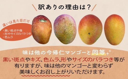 【訳あり・家庭用】【生産者応援】限定500セット　今帰仁